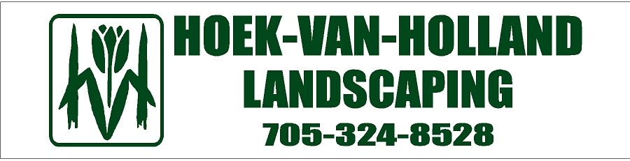 Hoek Van Holland Landscaping